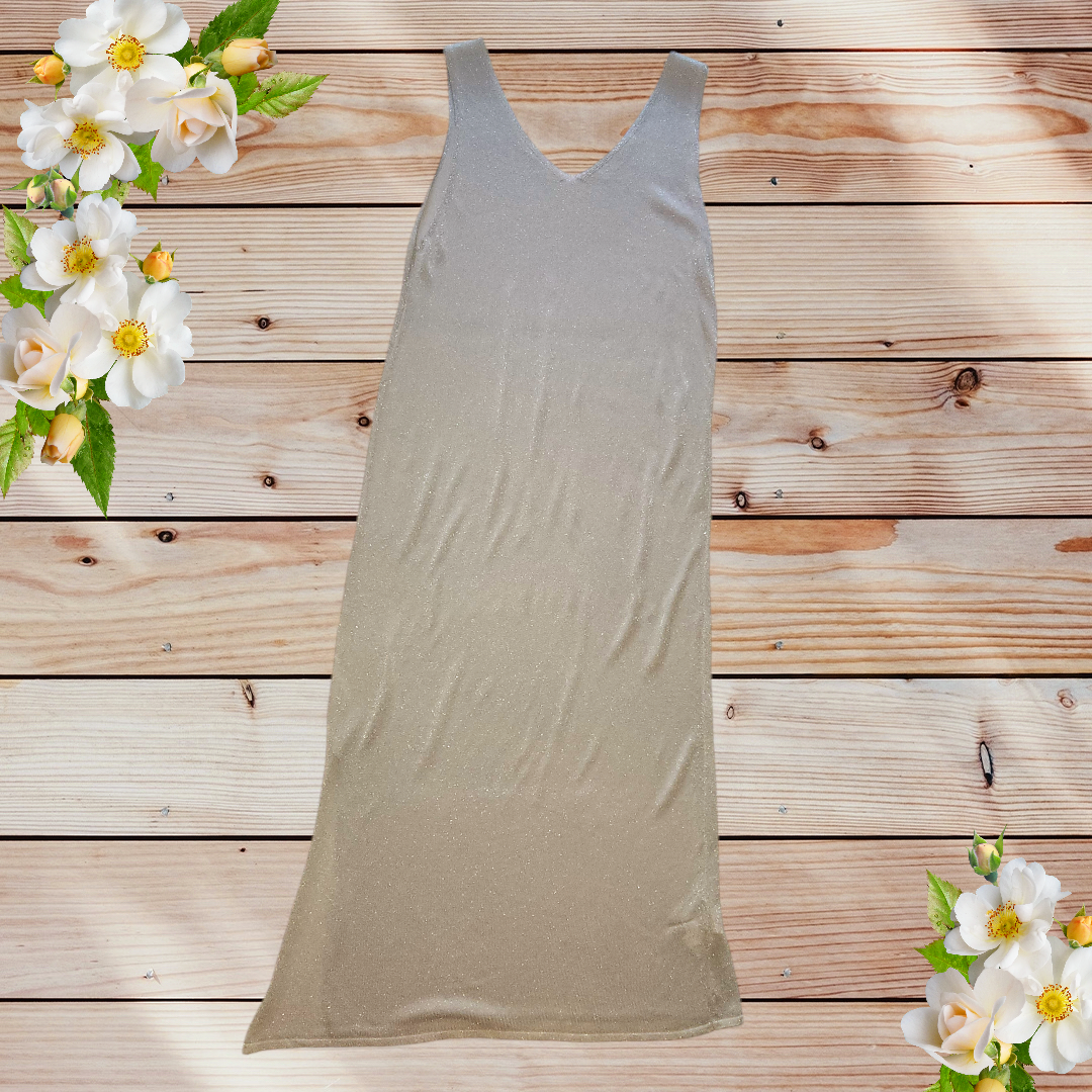 IS.2.01100-silver dress