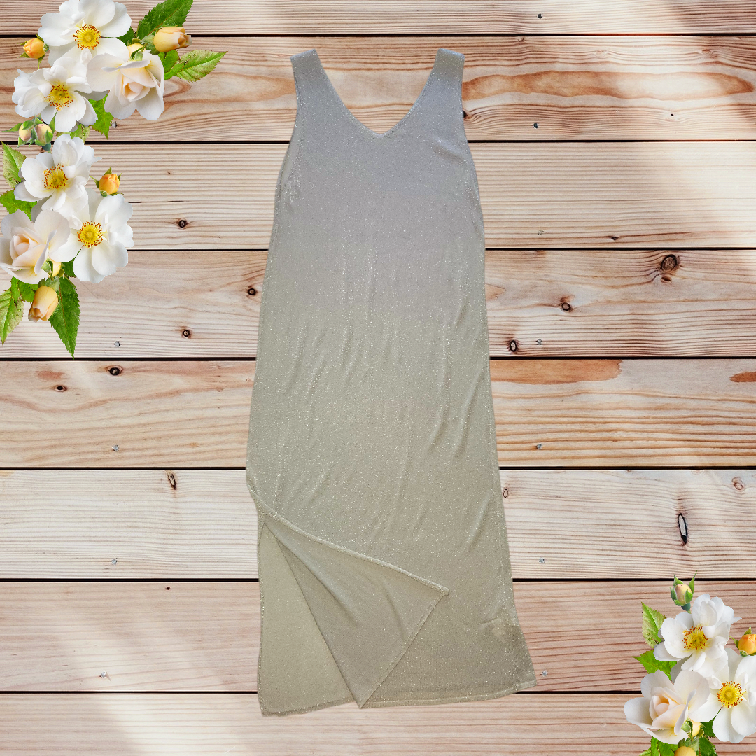 IS.2.01100-silver dress